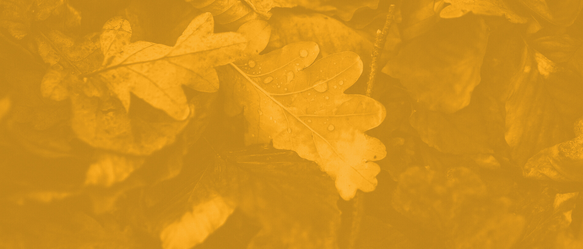 Have a different relationship with your struggles